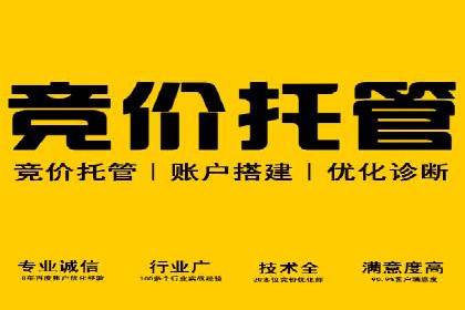 竞价广告的智能投放：XX平台的创新实践